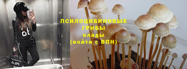 метадон Арсеньев
