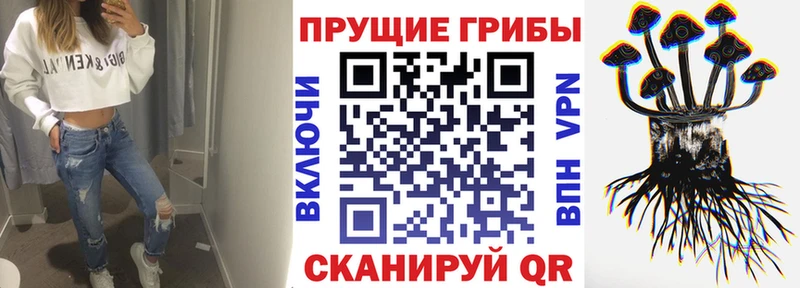 Галлюциногенные грибы GOLDEN TEACHER  даркнет сайт  Бабаево 